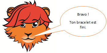 fin_bracelet_fr.png