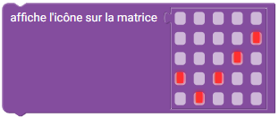 matricecoche.png